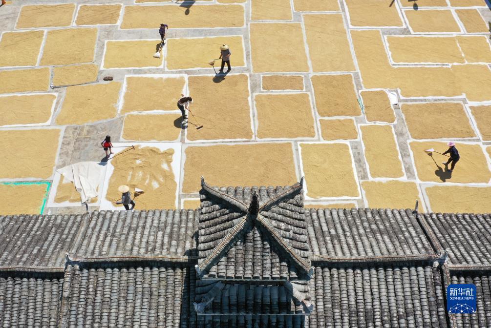 大阳城集团娱乐游戏